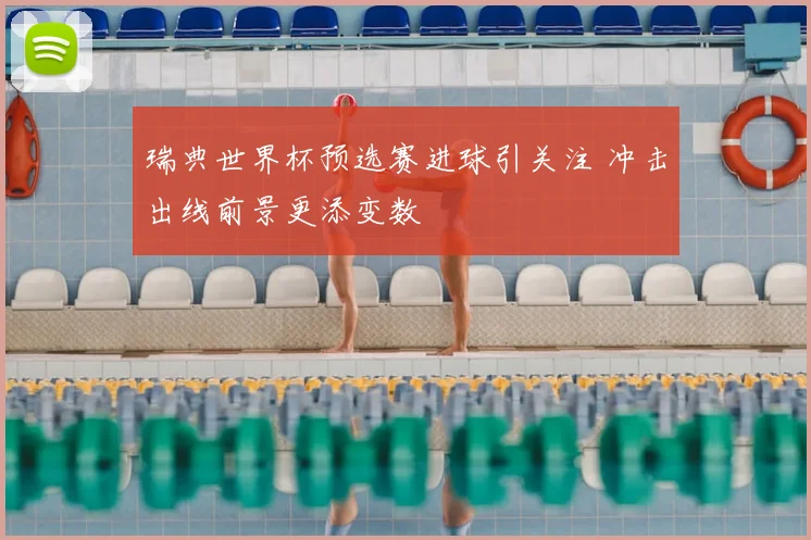 瑞典世界杯预选赛进球引关注 冲击出线前景更添变数