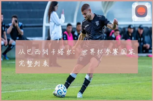 从巴西到卡塔尔：世界杯参赛国家完整列表
